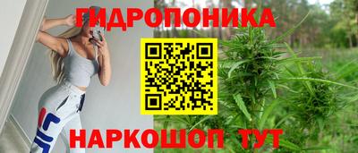spice Краснодар