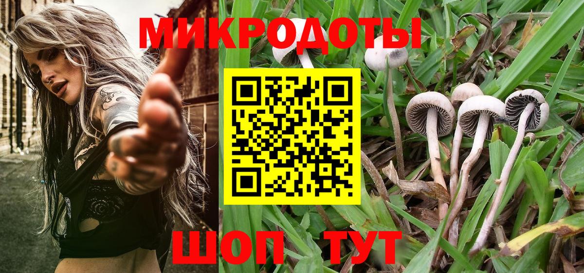 Псилоцибиновые грибы Psilocybine cubensis Кирово-Чепецк