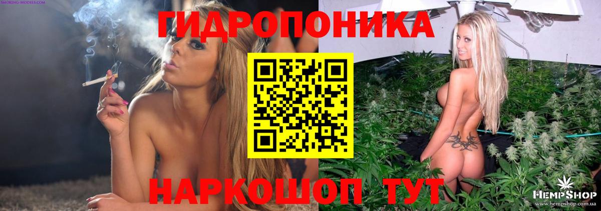 Бошки Шишки конопля  Вход с VPN  Кирово-Чепецк  Каннабис семена  Конопля VHQ  Шишки марихуана OG Kush 